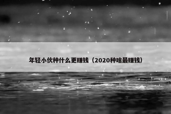 年轻小伙种什么更赚钱（2020种啥最赚钱）