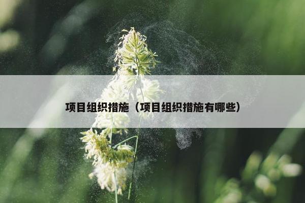 项目组织措施（项目组织措施有哪些）