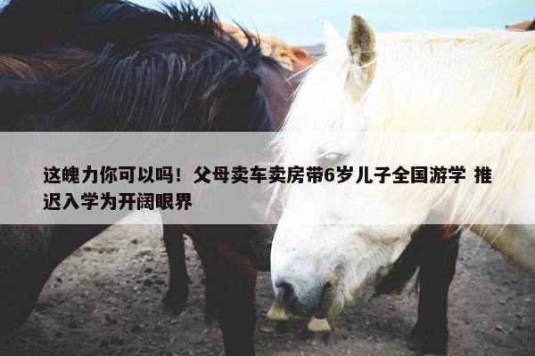 这魄力你可以吗！父母卖车卖房带6岁儿子全国游学 推迟入学为开阔眼界