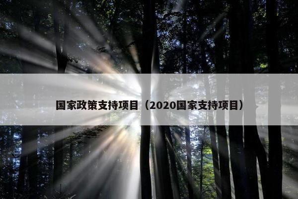 国家政策支持项目（2020国家支持项目）