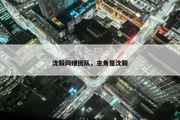 沈毅网赚团队，主角是沈毅