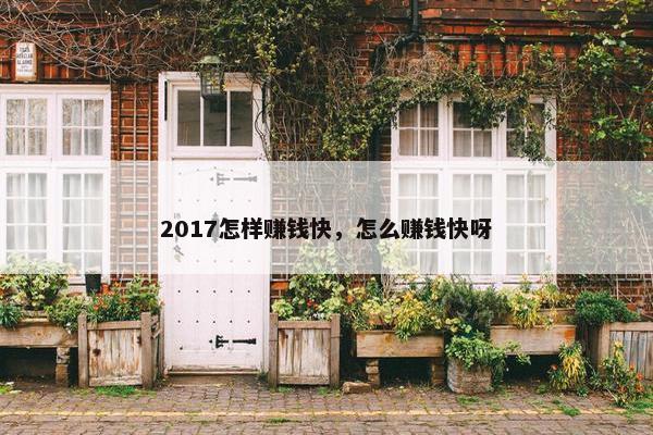 2017怎样赚钱快，怎么赚钱快呀