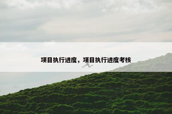 项目执行进度，项目执行进度考核