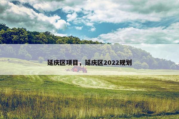 延庆区项目，延庆区2022规划