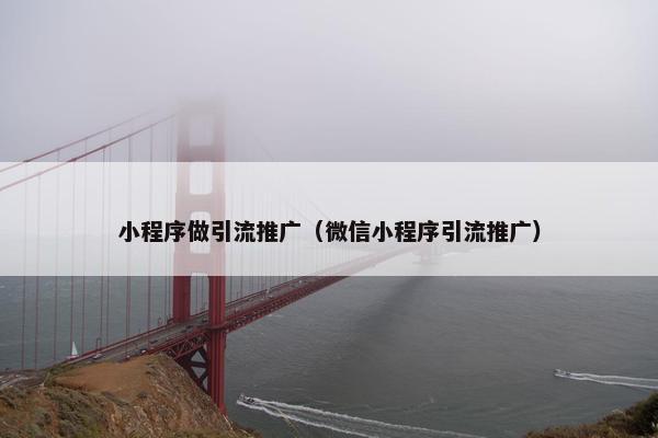 小程序做引流推广（微信小程序引流推广）