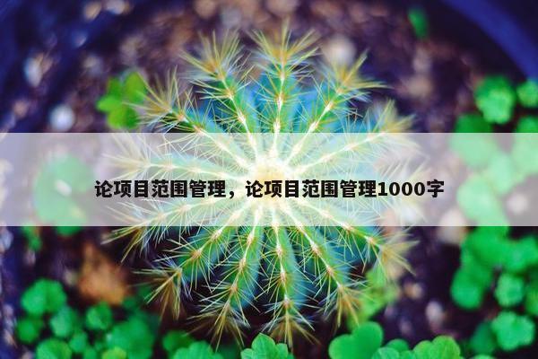 论项目范围管理，论项目范围管理1000字