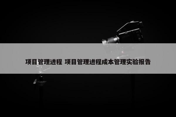 项目管理进程 项目管理进程成本管理实验报告