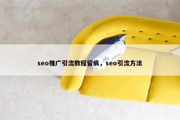 seo推广引流教程留痕，seo引流方法