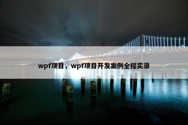 wpf项目，wpf项目开发案例全程实录