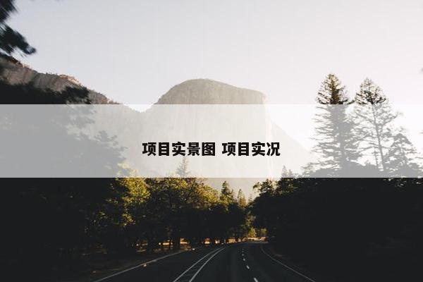 项目实景图 项目实况