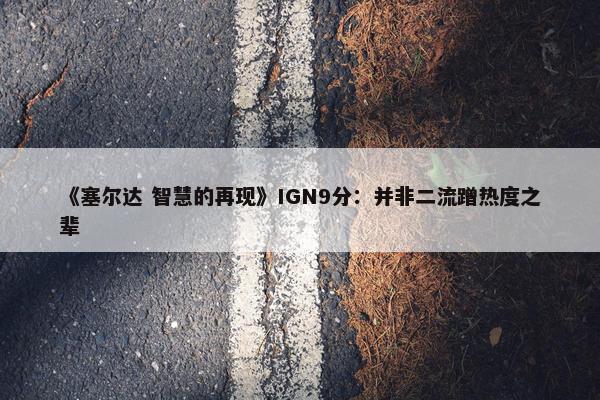 《塞尔达 智慧的再现》IGN9分：并非二流蹭热度之辈