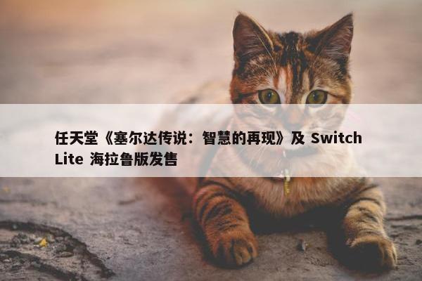 任天堂《塞尔达传说：智慧的再现》及 Switch Lite 海拉鲁版发售