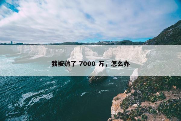 我被薅了 7000 万，怎么办