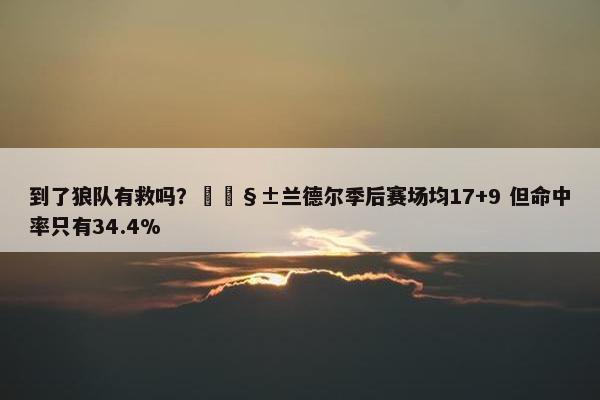 到了狼队有救吗？🧱兰德尔季后赛场均17+9 但命中率只有34.4%