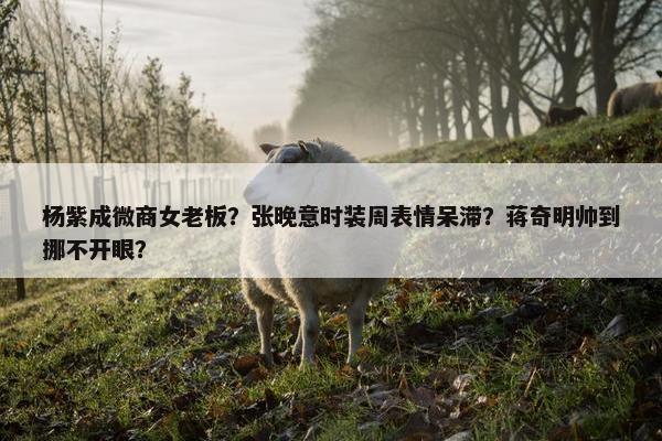 杨紫成微商女老板？张晚意时装周表情呆滞？蒋奇明帅到挪不开眼？