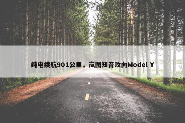 纯电续航901公里，岚图知音攻向Model Y