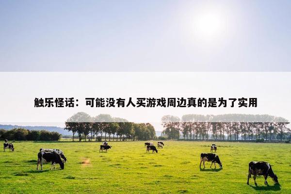 触乐怪话：可能没有人买游戏周边真的是为了实用