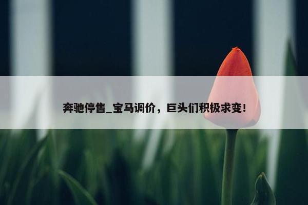 奔驰停售_宝马调价，巨头们积极求变！