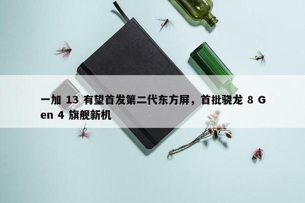 一加 13 有望首发第二代东方屏，首批骁龙 8 Gen 4 旗舰新机