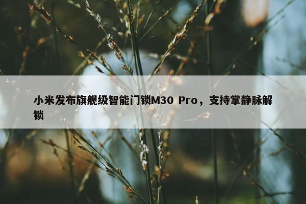 小米发布旗舰级智能门锁M30 Pro，支持掌静脉解锁